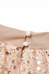 Curveins Plus Size Elegant V-Neck Sequin Panel Dress